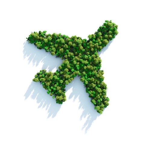 Airplane shaped green trees on white background.