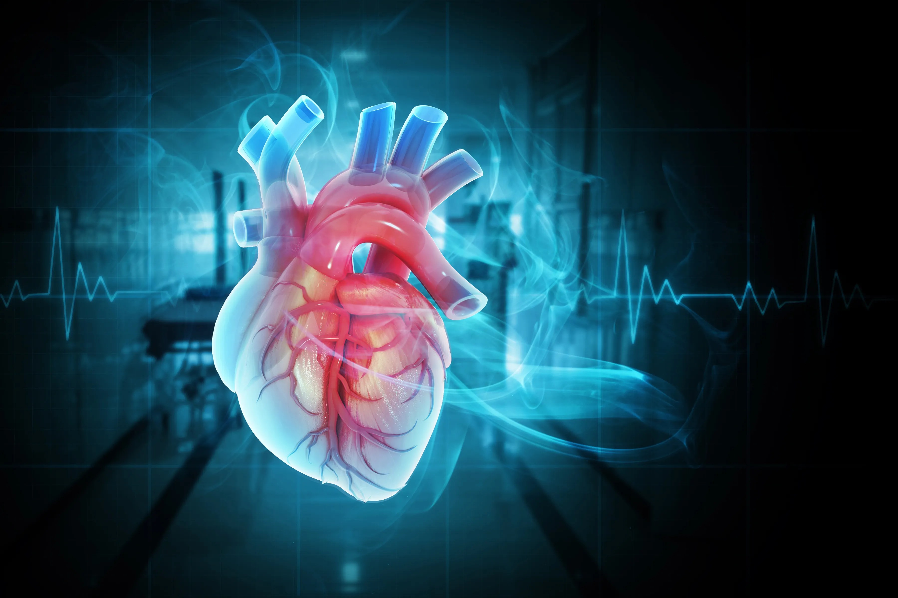 Digital human heart that pumps well with cardiovascular implant standards.