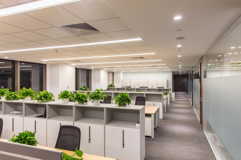 Modern office corridor with strong lighting, office chairs, and many plants.