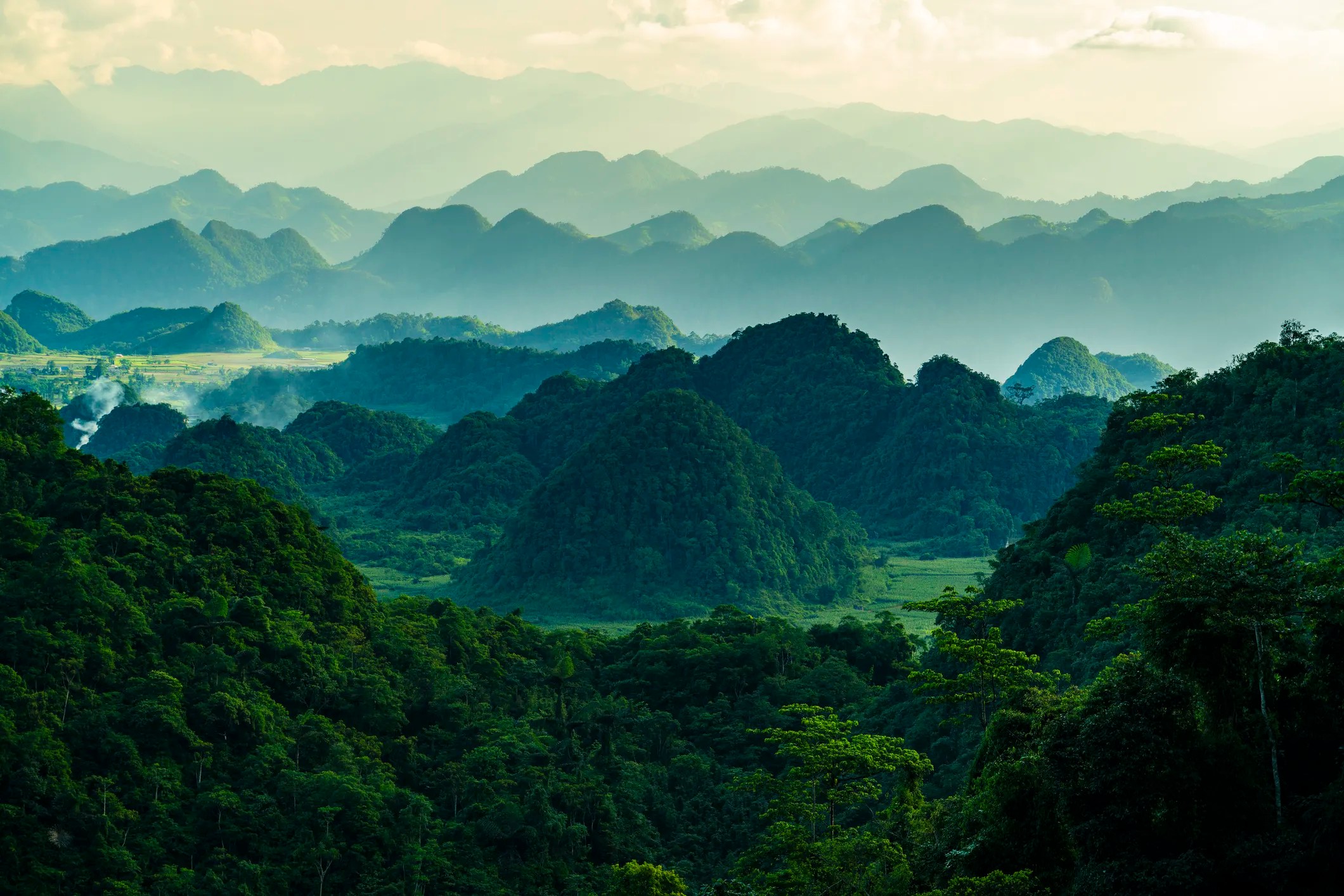 Cat Ba National Park on Cat Ba Island, Vietnam