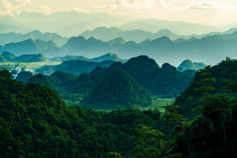 Cat Ba National Park on Cat Ba Island, Vietnam