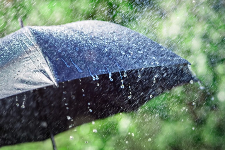 Black umbrella on a rainy day that would have followed ASTM D4112-02.
