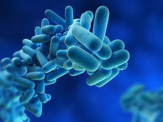 Legionellosis: Risk Management for Building Water Systems