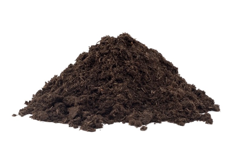 Heap of compost on white background.