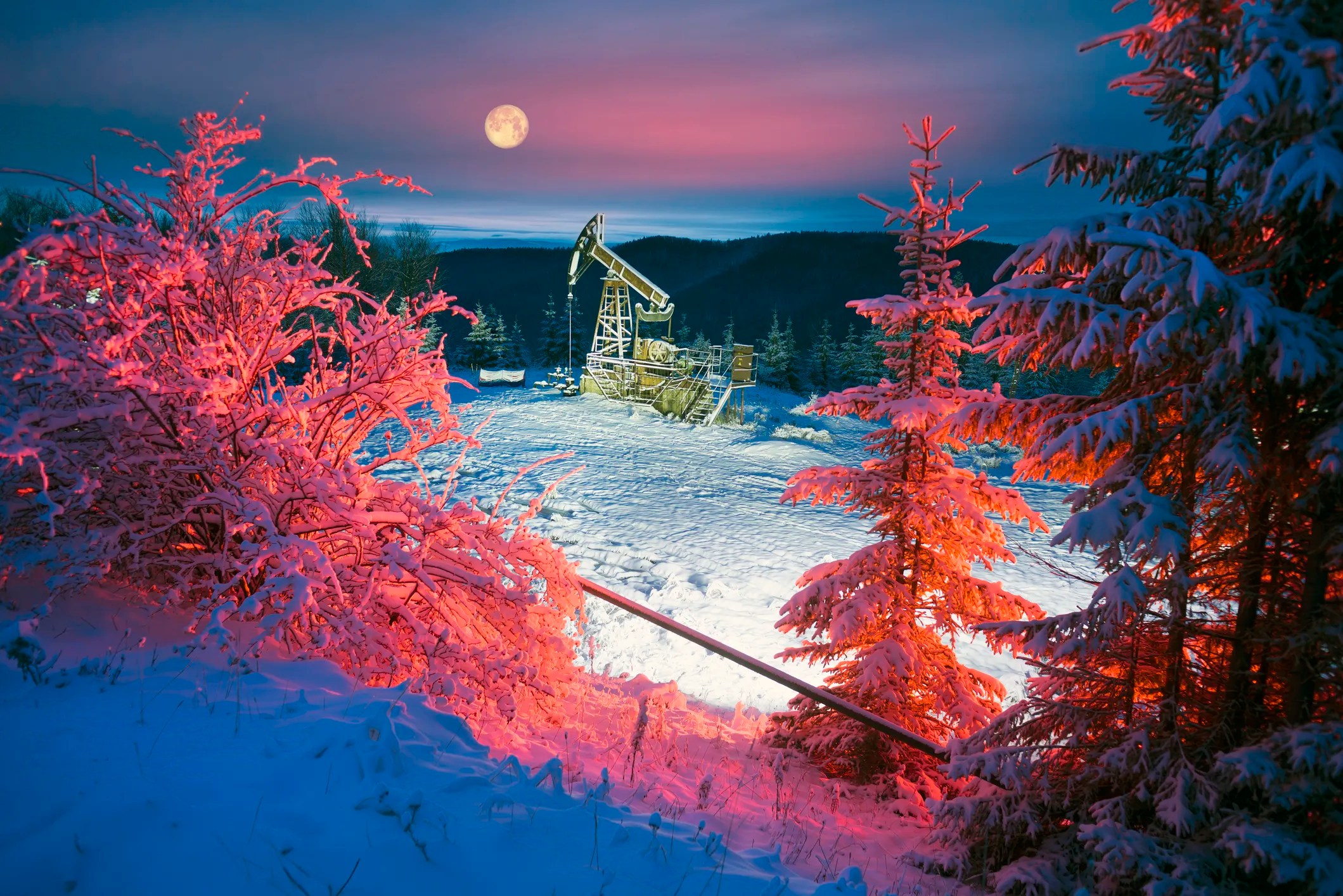 Pumpjack behind red evergreens in snow to show Oil production on Mount Synechka
