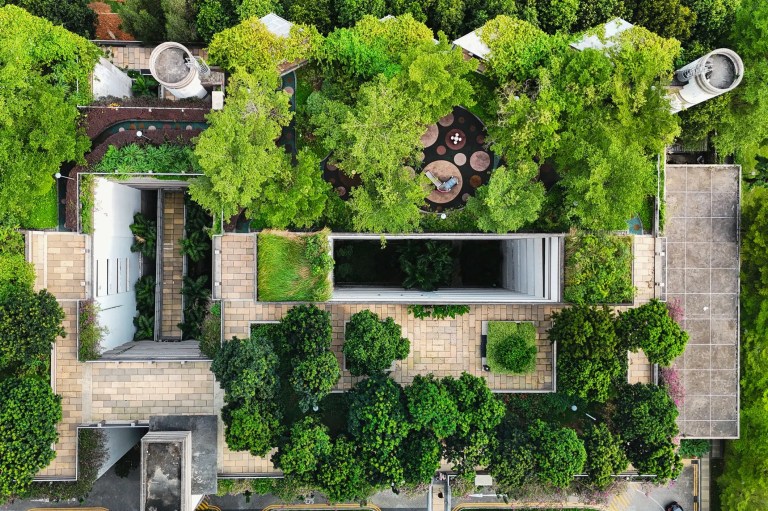 Green roof with trees aerial view