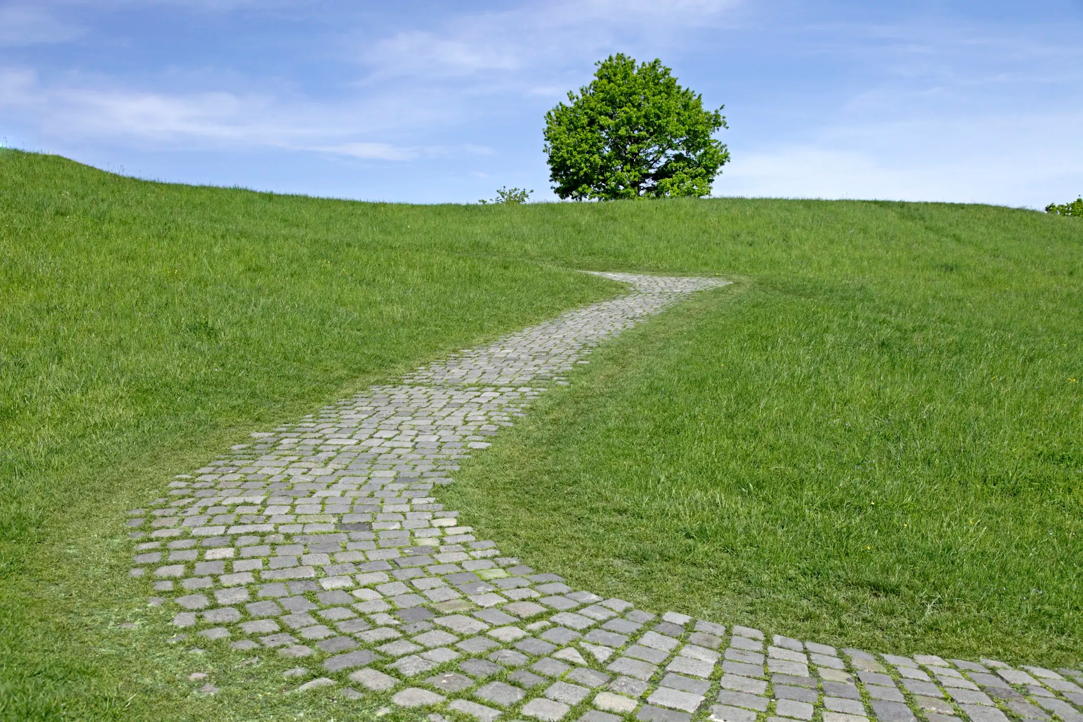 Cobblestone path winding through grass and leading to tree with ISO 14004 guidelines