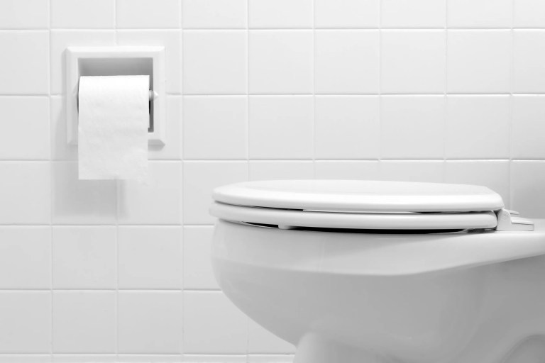 Porcelain toilet with lid closed next to toilet paper roll mounted on ceramic tile wall