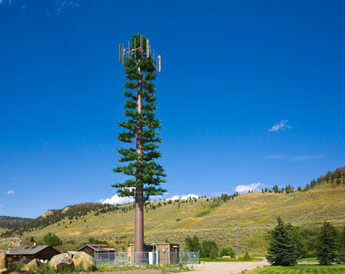 Cell phone tower disguised as a tree