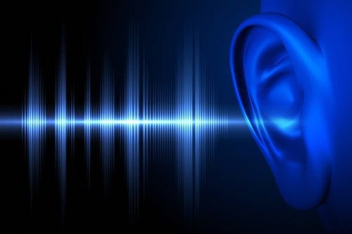 Blue head graphic depicting the Speech Intelligibility Index