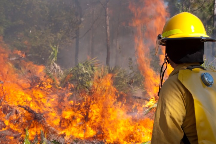 Firefighter battling wildfire as outlined in NFPA 1143-2014