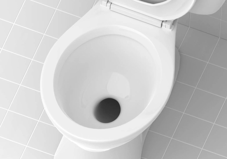 Closeup of toilet bowl in ceramic tile floor bathroom