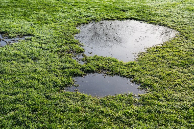 Puddle in grass that can be used for the ASTM aquifer test method