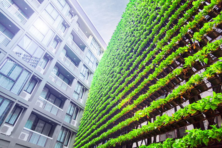 A lively green wall indicates an organization that has attained ANSI/MSE 50021-2016 superior energy performance.