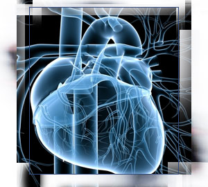 Cardiovascular Implant Standards