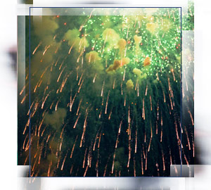 Fireworks are managed by NFPA 1123-2014 and NFPA 1124-2013