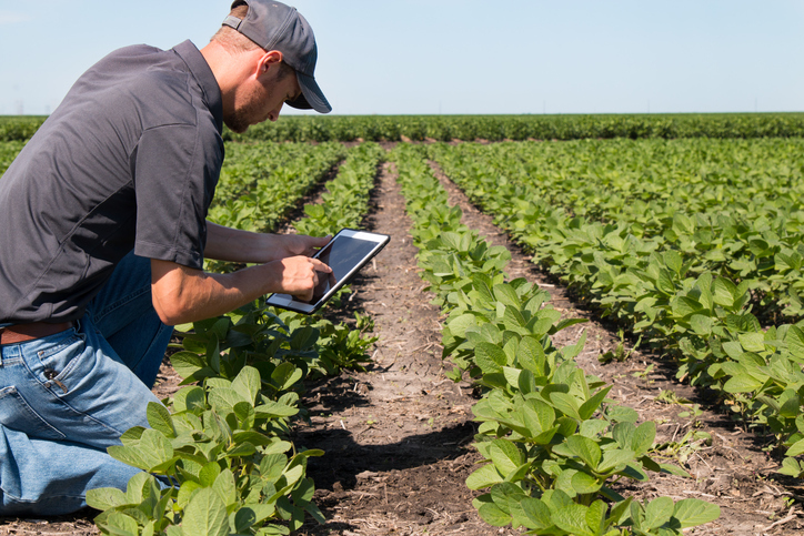 Farmer utilizing both ISO 45001 and ISO 14001 to implement environmental and occupational health and safety
