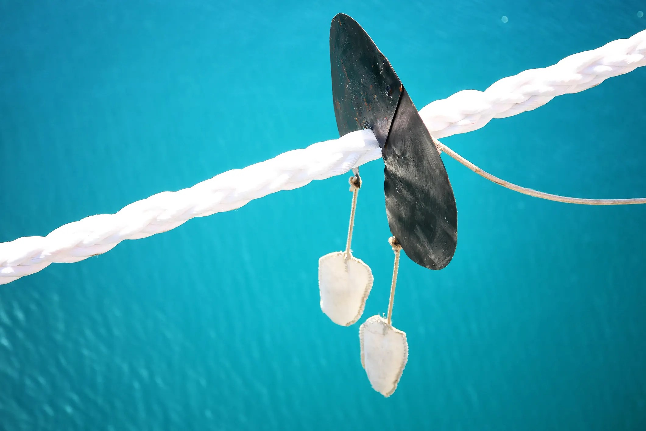 An ASTM F1099M rat guard on white rope over blue sea to block animals from climbing on ship.
