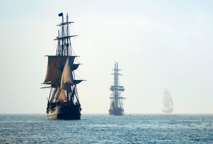 Old pirate ships traversing the sea, carrying rats with them throughout the globe.