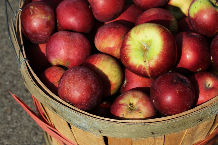 Bright red apples piles in a basket and ready to undergo US Customary Imperial Conversions to Metric