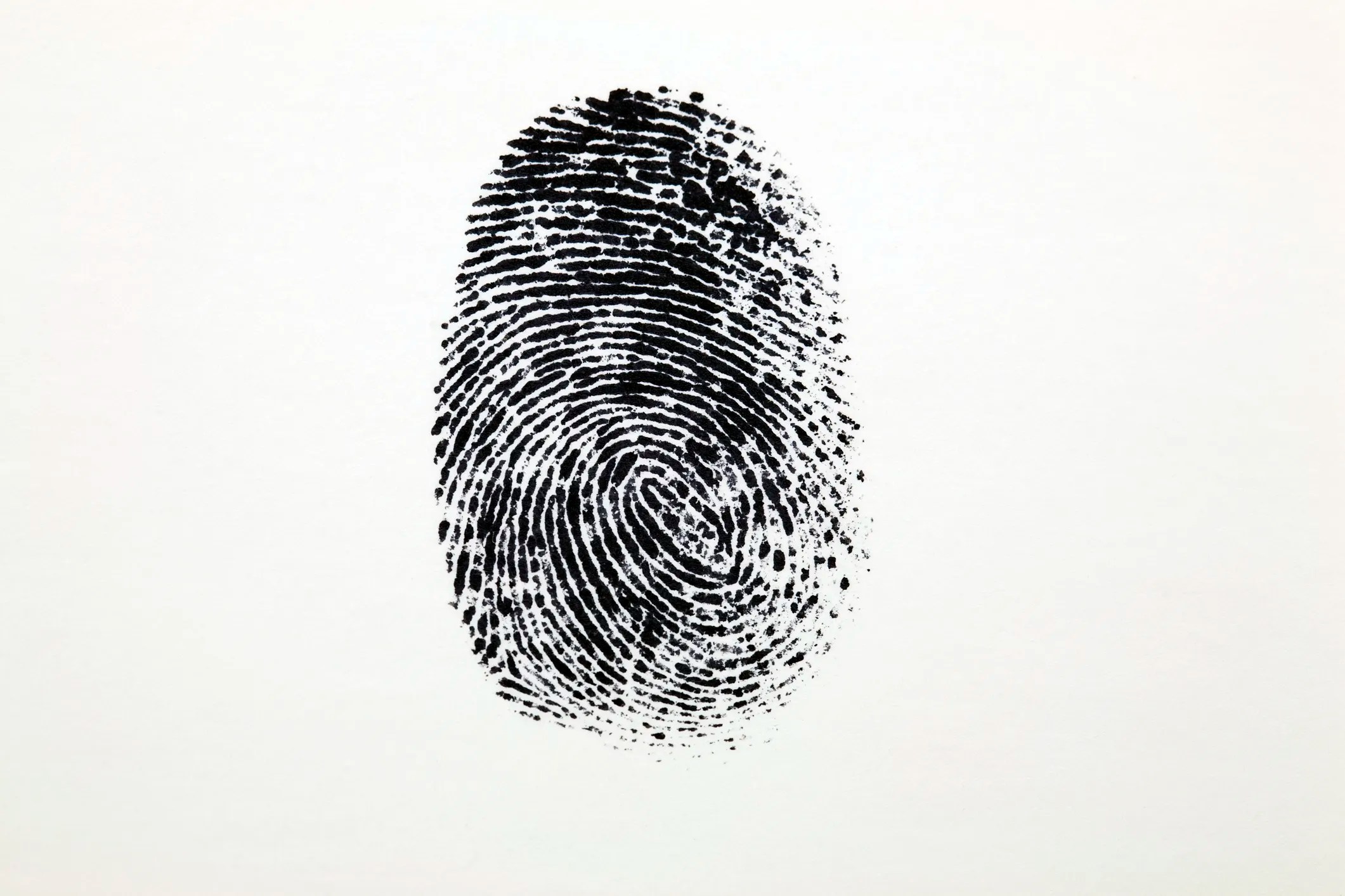 An inked black fingerprint loop is isolated on white background.