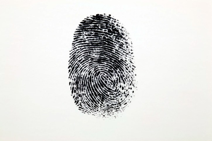 An inked black fingerprint loop is isolated on white background.