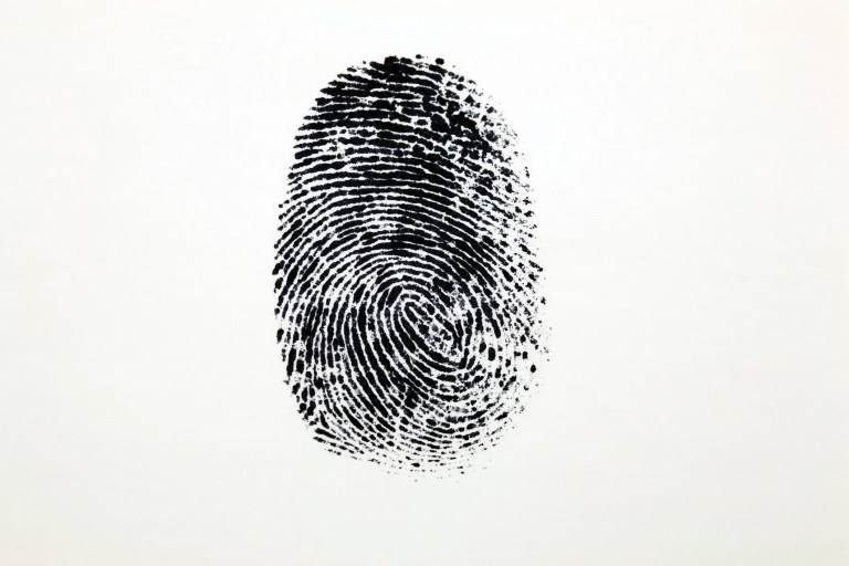 An inked black fingerprint loop is isolated on white background.