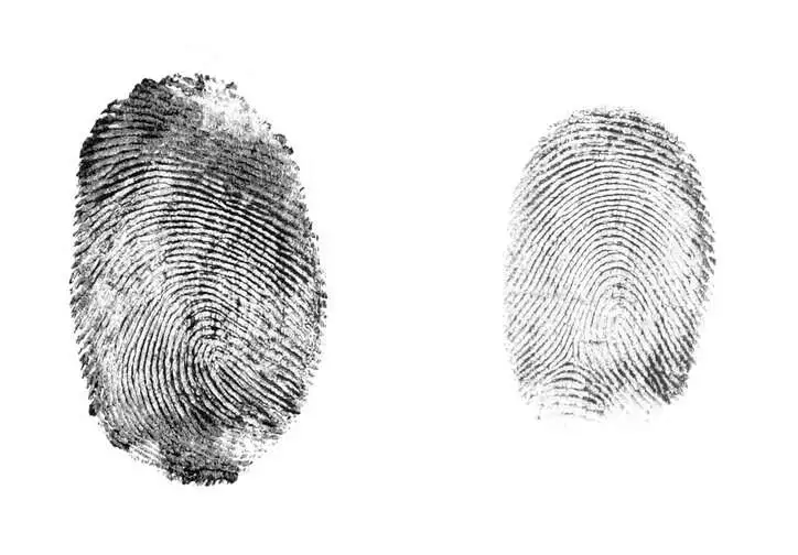 Two fingerprints taken side by side to show loops on white background.