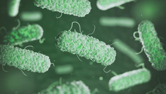 Legionella that are covered by ANSI ASHRAE 188 2018