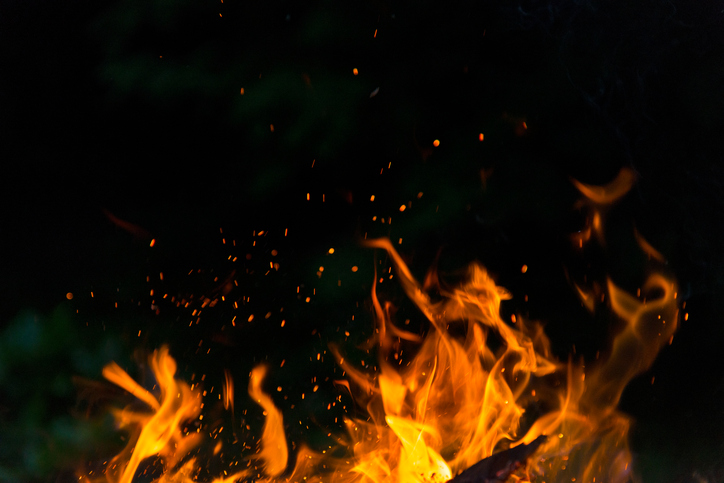 Flame burns without NFPA 150-19: Fire and Life Safety in Animal Housing Facilities Code requirements.