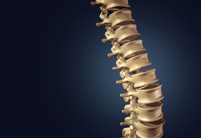A spine showing the ASTM F1717-18 spinal implant constructs in a vertebrectomy model.