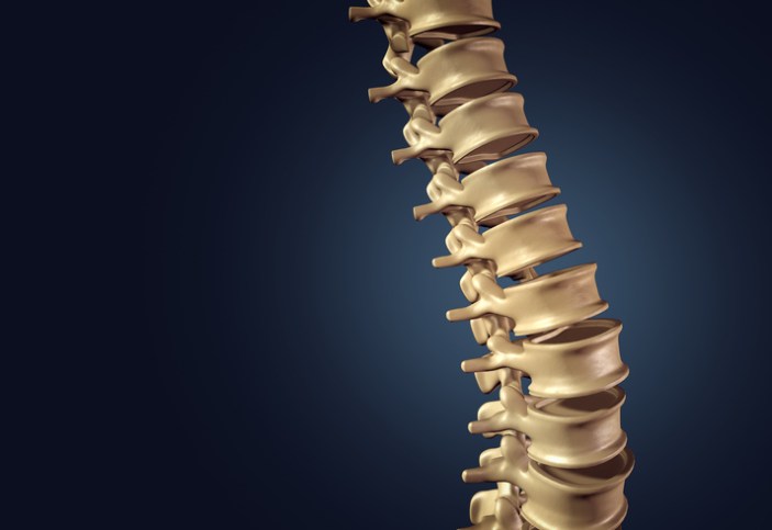 A spine showing the ASTM F1717-21 spinal implant constructs in a vertebrectomy model.
