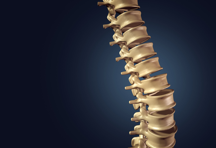 A spine showing the ASTM F1717-21 spinal implant constructs in a vertebrectomy model.