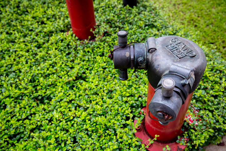 A red NFPA 14-2019 standpipe installed in greenery