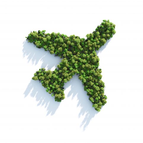 Foliage arranged in the shape of a plane, ISO/TC 238