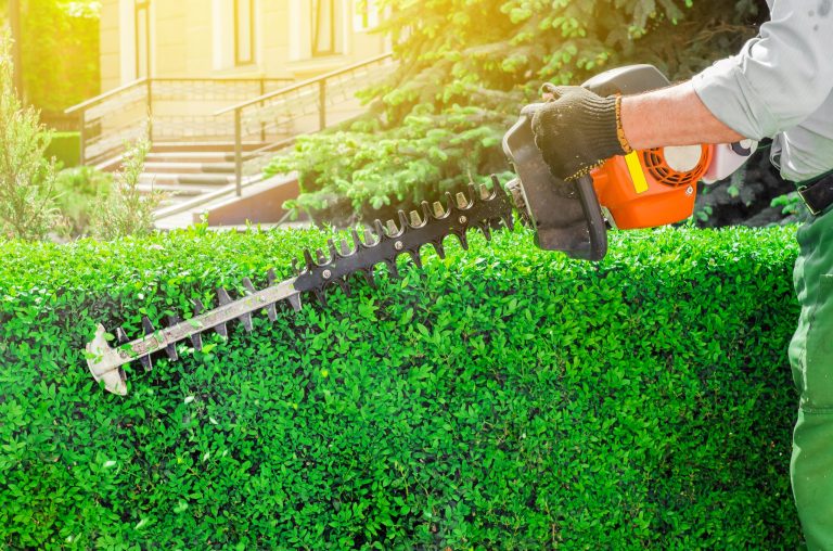 Outdoor Power Equipment Industry Statistics