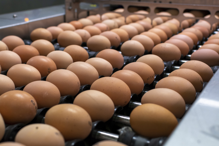 Eggs preparing for FSMA Certification Body Accreditation for imported food safety audits.