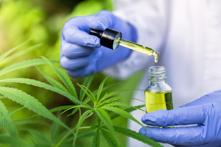CBD Oil dripping into vial safely due to ANAB ISO/IEC 17025 accreditation for cannabis laboratories.