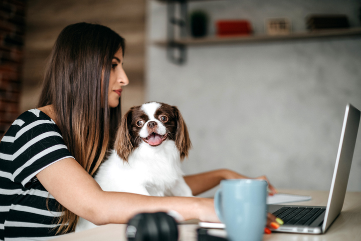 Woman with funny dog on lap preparing her laptop for ANAB Online Accreditation-Related Training to ISO/IEC 17025
