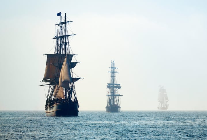 Old pirate ships traversing the sea, carrying rats with them throughout the globe.