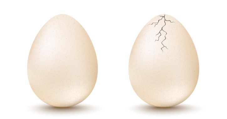 Cracked egg next to quality egg showing the risk of incorrect conclusions during ISO 2859-4:2020 acceptance sampling.