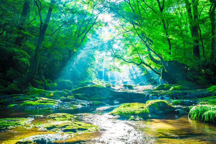 Kikuchi valley waterfall and green foliage keeps flowing thanks to ISO 14001:2015 environmental management systems.