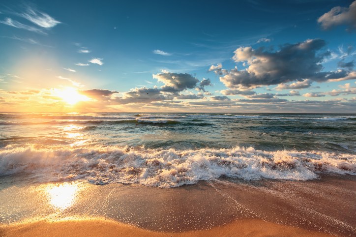 A sunset cast over the receding tide demonstrates the future of accreditation relating to the Carbon XPRIZE.