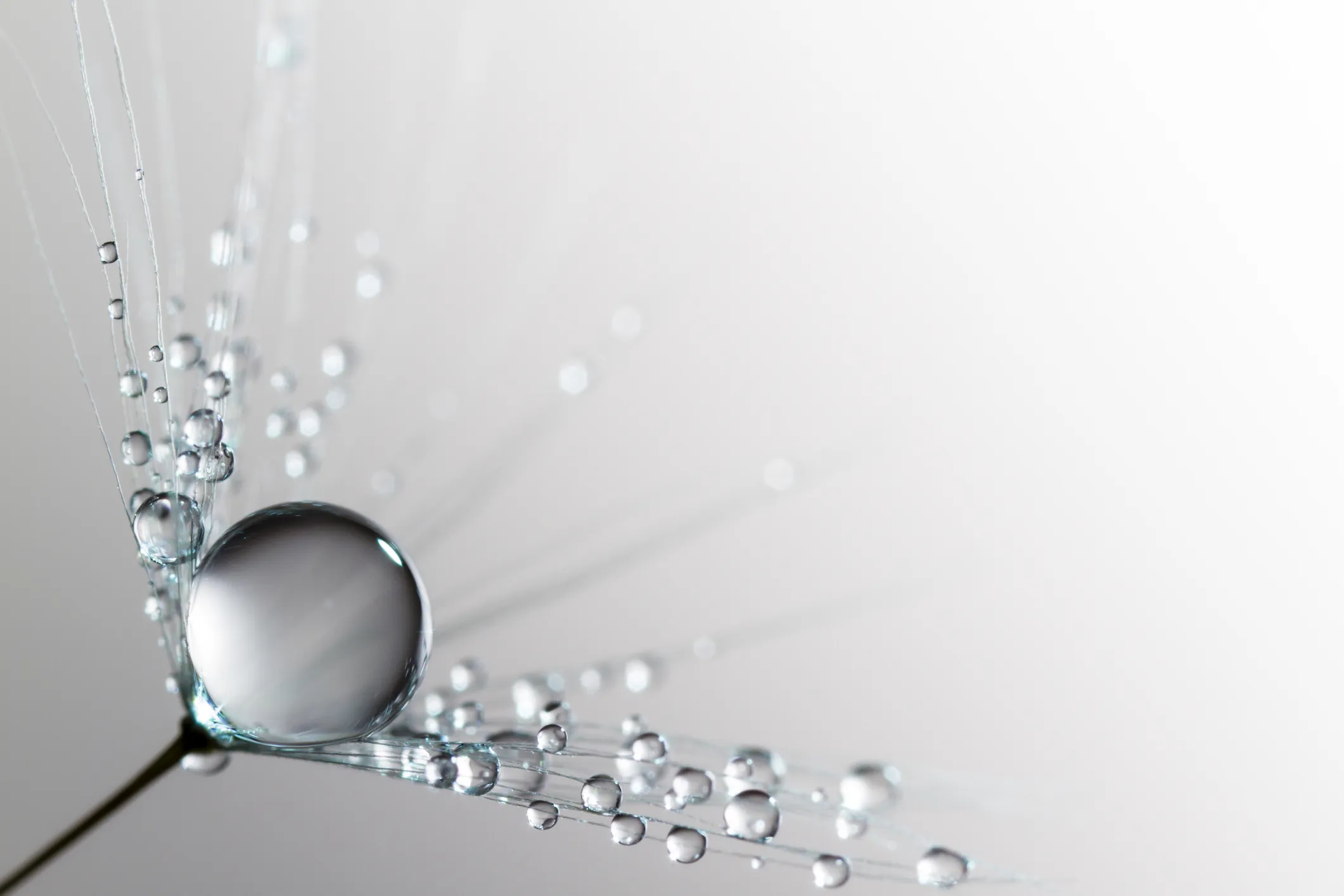 Dew in water vapor that can have its water vapor transmission rate determined with ASTM E96-22.