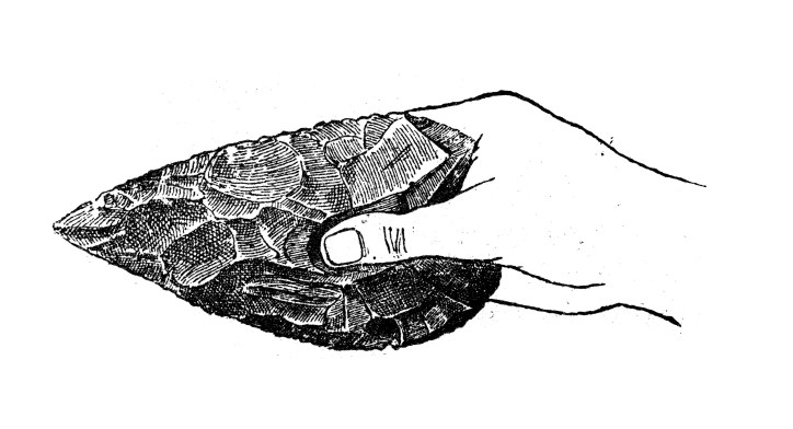 A drawing of an Acheulian hand axe, which was not the first standard but the second one.