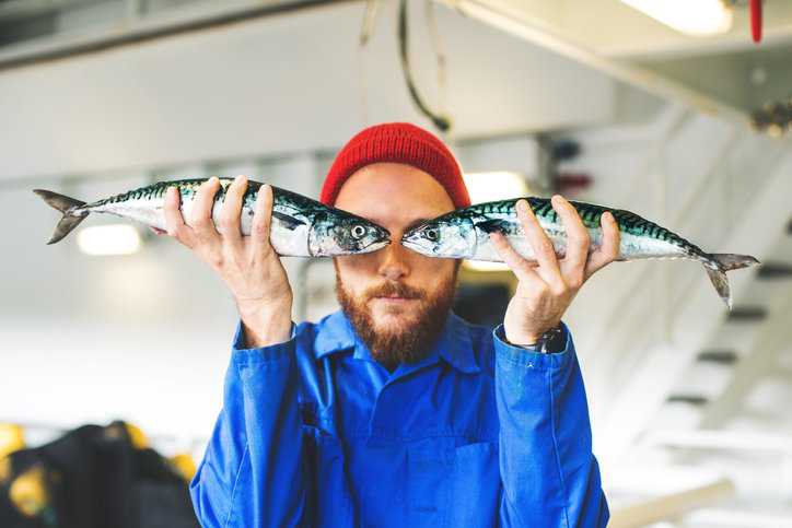 Fisherman on fishing vessel with finfish contributing to the carbon calculation in ISO 22948:2020.