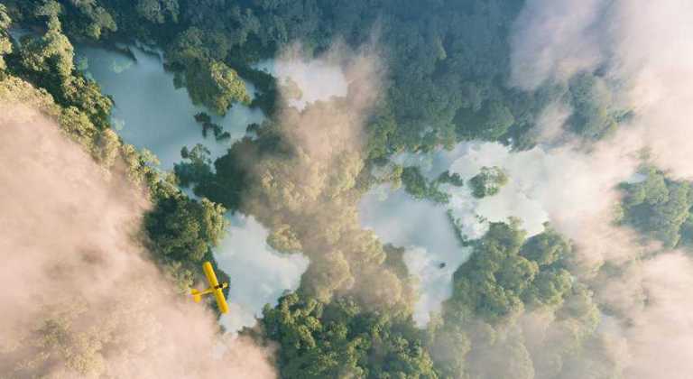 Aerial view of a plane traveling over a lush rainforest that is properly managed for sustainable tourism.