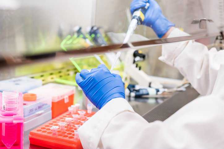 Working with a pipette and colorful materials in a NSF/ANSI 42-2024 Class II biosafety cabinet.