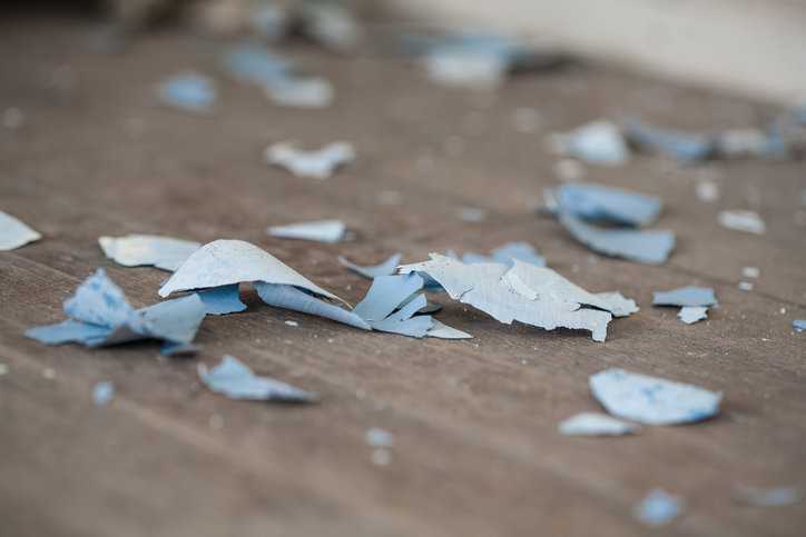 Lead paint chips on the floor that need testing from NLLAP accredited labs.