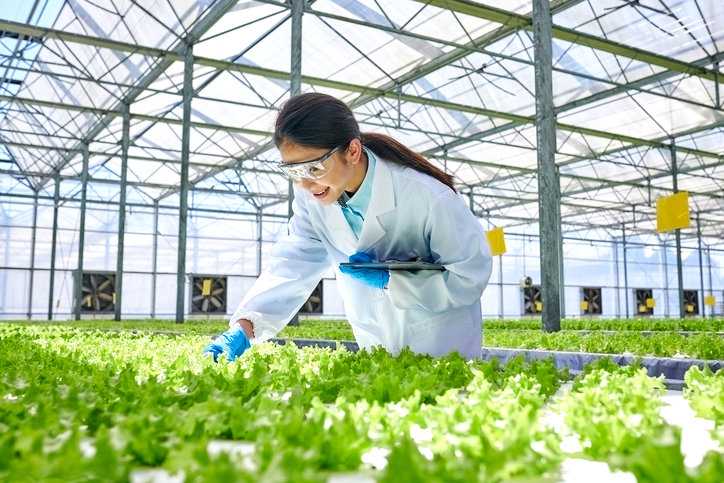 Researcher examining sprouts in greenhouse to attain LAAF accreditation.